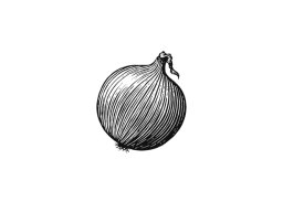 Onion art